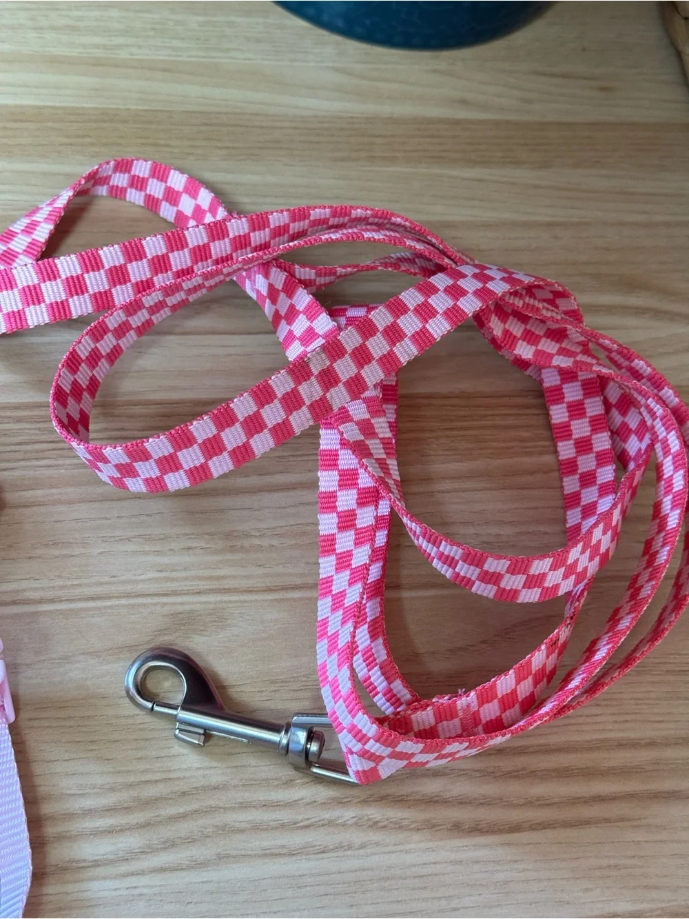 Whisker City Kitten Vest Harness & Leash